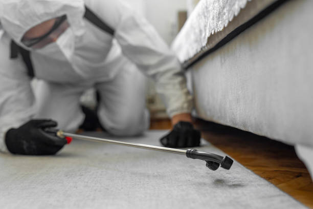 Professional Bed Bug Control technician working in Nuevo, CA