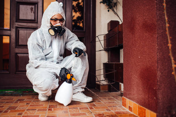 Reliable Bed Bug Control contractor in Nuevo, CA by Nex Pest Control